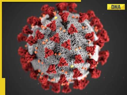 Amid Mpox outbreak, new XEC COVID variant on the rise, know its symptoms, impact Amid Mpox outbreak, new XEC COVID variant on the rise, know its symptoms, impact