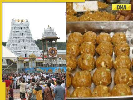 ‘Samples highly adulterated, we will…’: Tirupati Temple Trust issues first statement on laddoo row