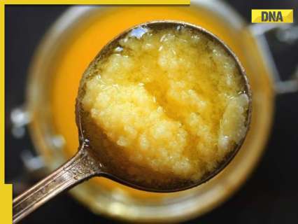 Amid Tirupati laddoo row, Tamil Nadu government clarifies ghee for Palani temple ‘Panchamirtham’ prasadam is..