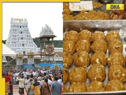 Tirupati laddu row: FSSAI issues show cause notice to ghee supplier, asks why its… Tirupati laddu row: FSSAI issues show cause notice to ghee supplier, asks why its…