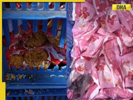Siddhivinayak Ganapati Temple Trust launches probe after video of mice on prasad packets goes viral