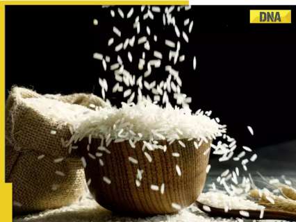 Central government makes bold move, lifts ban on agricultural sector for… Central government makes bold move, lifts ban on agricultural sector for…