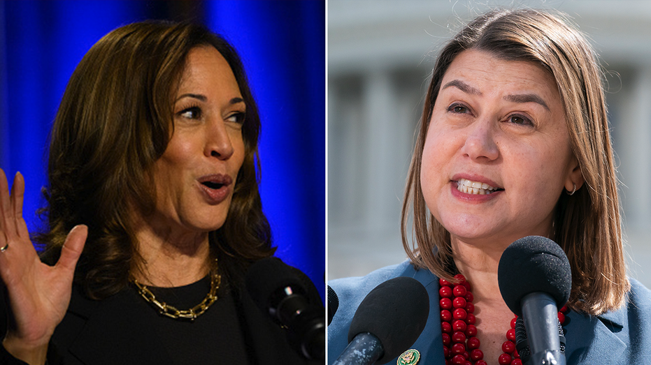 Harris campaign ‘underwater’ in key battleground state, Dem rep warns donors