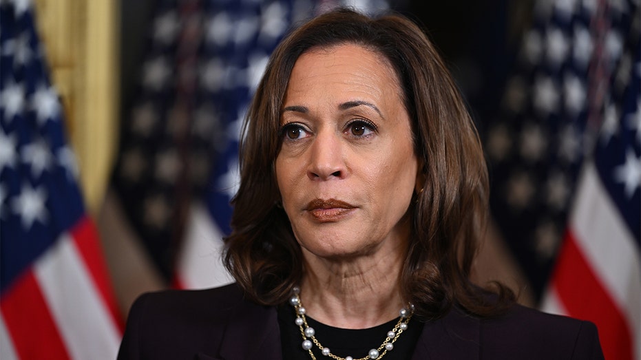 Harris failing to cobble together Biden’s winning 2020 coalition: analysis Harris failing to cobble together Biden’s winning 2020 coalition: analysis