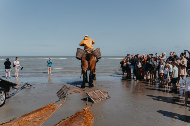 ‘Kings of the world’: The last of the horseback shrimp fishers ‘Kings of the world’: The last of the horseback shrimp fishers