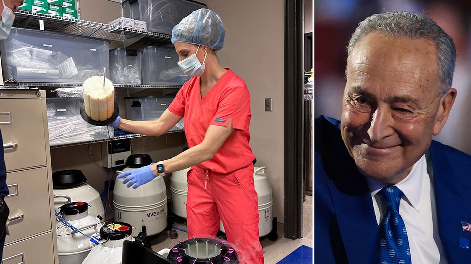 Schumer revives Dem-backed IVF bill after Trump proposal Schumer revives Dem-backed IVF bill after Trump proposal