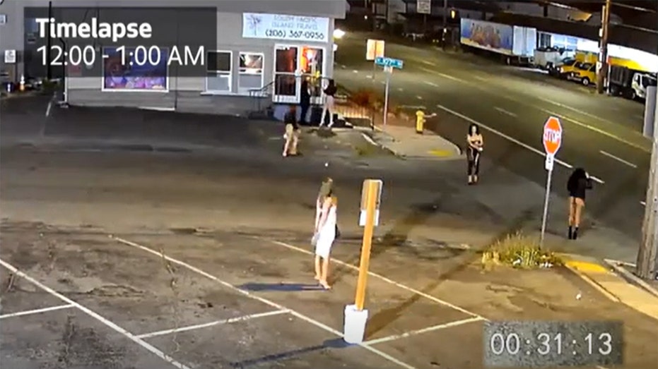 Seattle pushes for law targeting pimps and johns in prostitution-ridden area despite opposition Seattle pushes for law targeting pimps and johns in prostitution-ridden area despite opposition