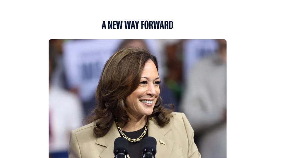 Harris camp’s new policy page criticized for lacking specifics on border security: ‘There’s no there, there’ Harris camp’s new policy page criticized for lacking specifics on border security: ‘There’s no there, there’
