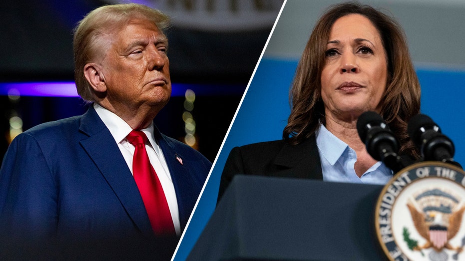 Trump-Harris race neck and neck nationally in new survey, pollster sees ‘warning sign’ for Dems