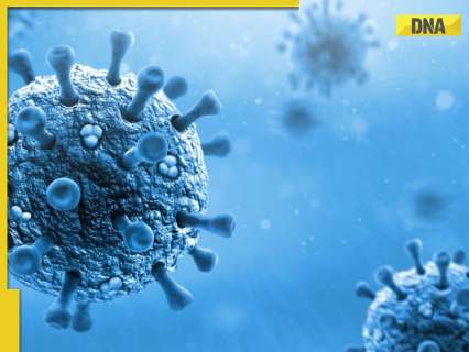CONGO fever Dos and Don’ts: Jaipur woman dies after getting infected by deadly virus, check guidelines to follow CONGO fever Dos and Don’ts: Jaipur woman dies after getting infected by deadly virus, check guidelines to follow