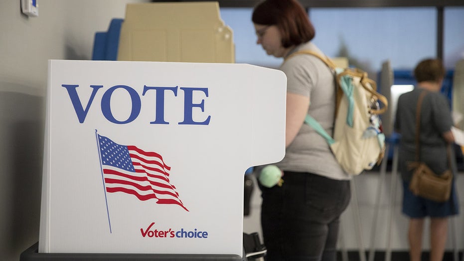 Election board in crucial swing state sued over dispute on who will monitor election results Election board in crucial swing state sued over dispute on who will monitor election results