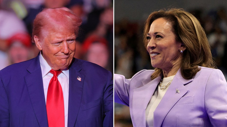 Dems launched onslaught of schemes slammed as tactics to undermine democracy ahead of high-stakes election Dems launched onslaught of schemes slammed as tactics to undermine democracy ahead of high-stakes election