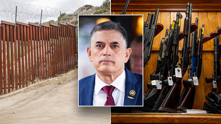 GOP lawmaker unveils effort to ban illegal immigrants from using IDs to buy guns GOP lawmaker unveils effort to ban illegal immigrants from using IDs to buy guns