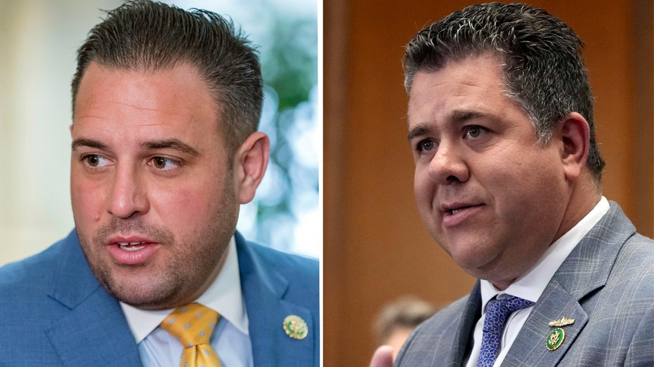 2 swing districts in New York split as GOP incumbents fight to hold seats 2 swing districts in New York split as GOP incumbents fight to hold seats