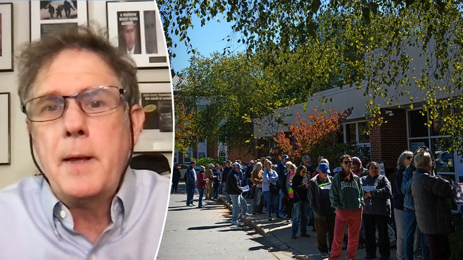 Dems need to ramp up early voting efforts to match GOP momentum in North Carolina: analyst Dems need to ramp up early voting efforts to match GOP momentum in North Carolina: analyst