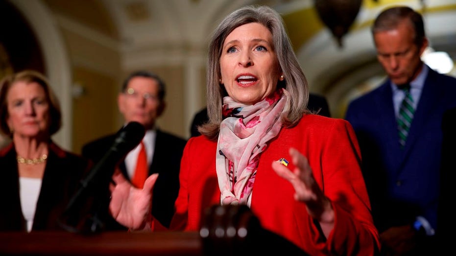 GOP senator demands answers after Pentagon finds Army gave Taiwan moldy gear, ammo from 1983 GOP senator demands answers after Pentagon finds Army gave Taiwan moldy gear, ammo from 1983