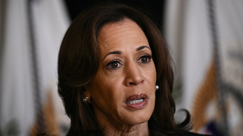 As a cautious Kamala loses momentum, Democrats are panicking over a Trump win As a cautious Kamala loses momentum, Democrats are panicking over a Trump win