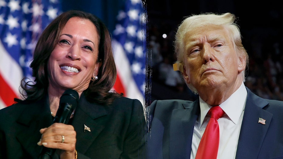 Harris holds small national lead as Trump increases his edge on the economy: poll Harris holds small national lead as Trump increases his edge on the economy: poll