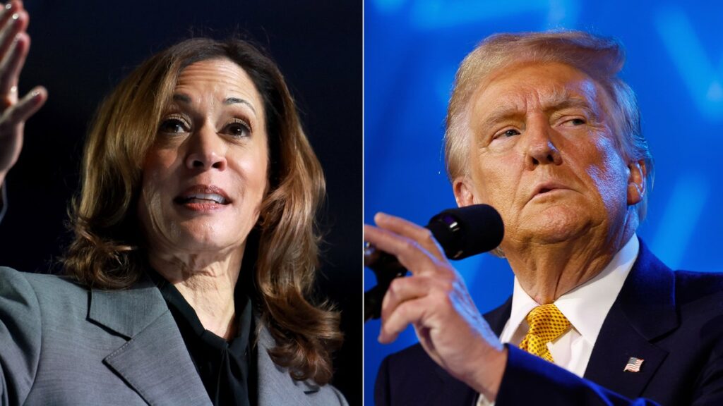 Voters in key battleground states give Trump an edge over Harris on this top tier issue: poll Voters in key battleground states give Trump an edge over Harris on this top tier issue: poll
