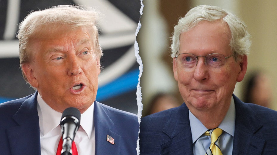 ‘Despicable human being’: McConnell’s 2020 thoughts on ‘sleazeball’ Trump revealed in new book ‘Despicable human being’: McConnell’s 2020 thoughts on ‘sleazeball’ Trump revealed in new book