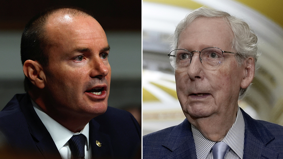 Mike Lee outlines roadmap for McConnell successor, warns the ‘health of the Republican Party’ is at stake Mike Lee outlines roadmap for McConnell successor, warns the ‘health of the Republican Party’ is at stake