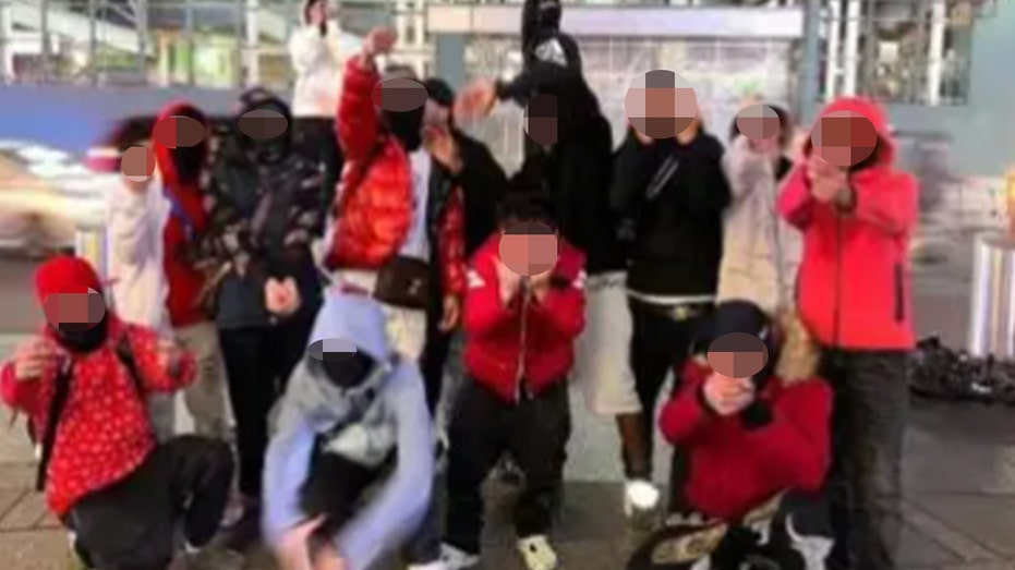 DHS identifies hundreds of migrants with possible ties to bloodthirsty Venezuelan gang DHS identifies hundreds of migrants with possible ties to bloodthirsty Venezuelan gang