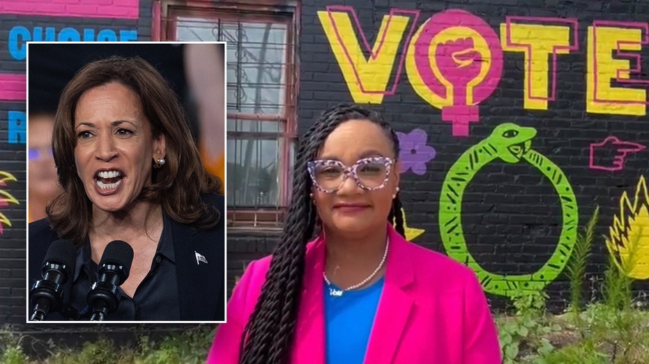 Georgia Dems chair reveals message to undecided GOP voters as Harris works to build broad base Georgia Dems chair reveals message to undecided GOP voters as Harris works to build broad base