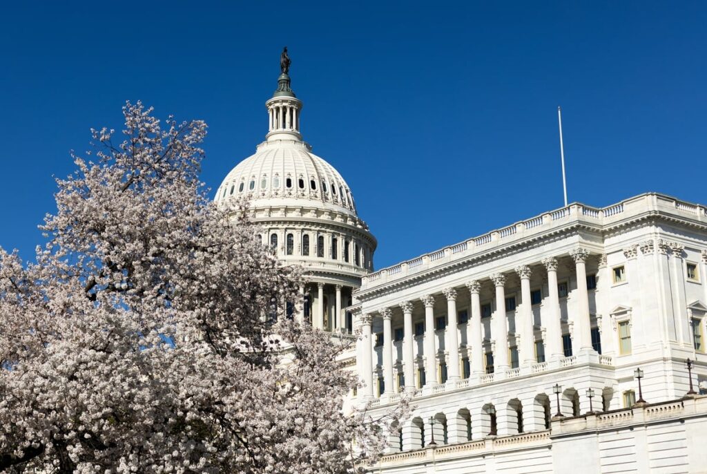 Meet the new Texans in Congress