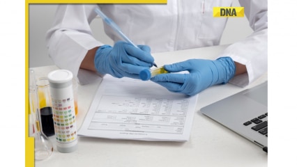 How To Use Synthetic Urine For A Drug Test: Pass Any Urine Analysis Easily How To Use Synthetic Urine For A Drug Test: Pass Any Urine Analysis Easily