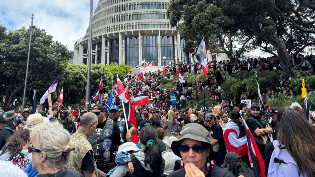 Thousands protest as Maori rights march reaches New Zealand parliament Thousands protest as Maori rights march reaches New Zealand parliament