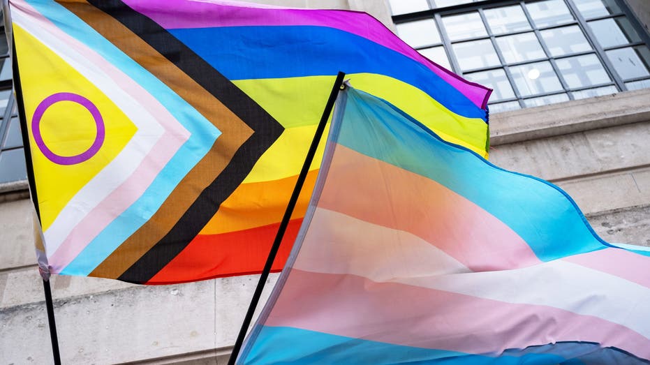 Federal court upholds Indiana ban on puberty blockers, hormones for gender-confused minors