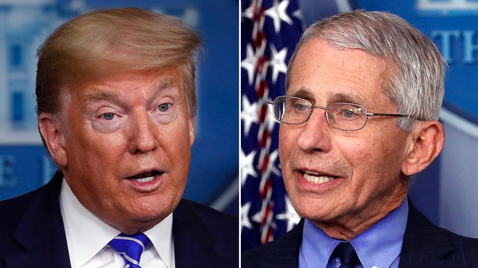 Fauci ripped over new paper criticizing Trump on coronavirus, promoting natural origin theory: ‘Embarrassment’ Fauci ripped over new paper criticizing Trump on coronavirus, promoting natural origin theory: ‘Embarrassment’
