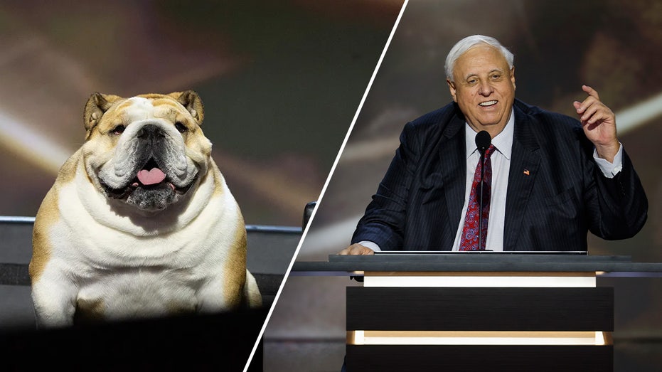 Babydog goes to Washington: West Virginia’s Justice flips Senate seat red Babydog goes to Washington: West Virginia’s Justice flips Senate seat red
