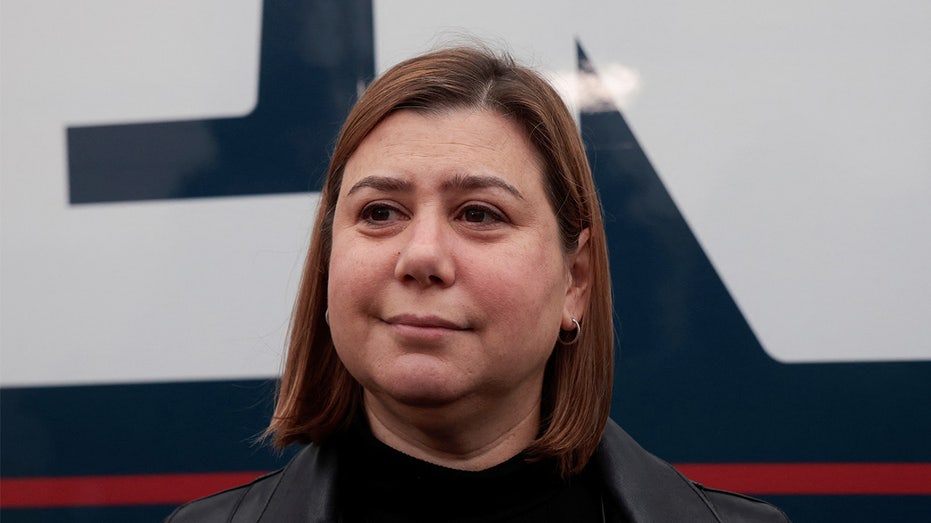 Incoming Senate Dem Elissa Slotkin torches identity politics in 2024 autopsy: ‘Go the way of the dodo’ Incoming Senate Dem Elissa Slotkin torches identity politics in 2024 autopsy: ‘Go the way of the dodo’