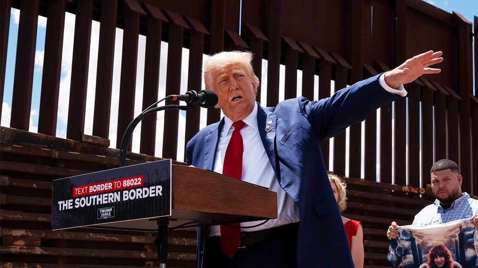 Who else could be on President-elect Trump’s immigration ‘dream team’? Who else could be on President-elect Trump’s immigration ‘dream team’?