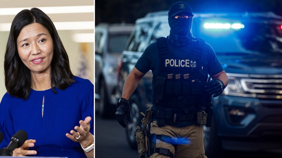 ‘Sanctuary’ city mayor vows she will defy Trump’s mass deportation push: ‘Causing widespread fear’ ‘Sanctuary’ city mayor vows she will defy Trump’s mass deportation push: ‘Causing widespread fear’