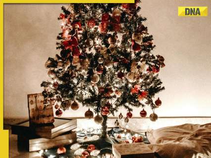 Merry Christmas 2024: Know significance, history, tradition, why it is celebrated on December 25 Merry Christmas 2024: Know significance, history, tradition, why it is celebrated on December 25