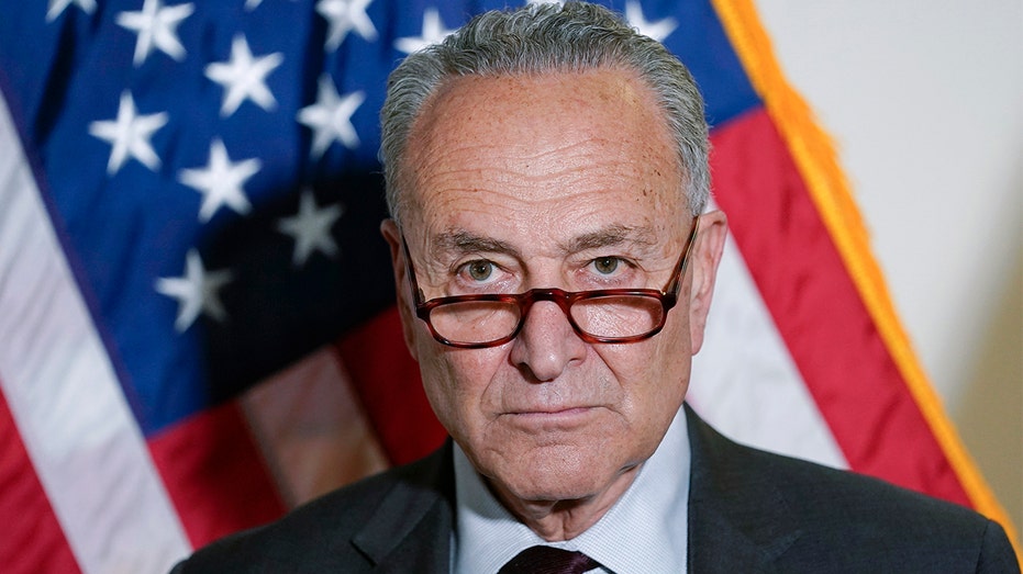 Senate Democrats to hold leadership elections after losing chamber majority Senate Democrats to hold leadership elections after losing chamber majority
