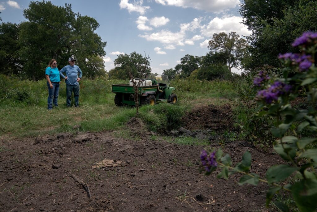 Texas farmers say sewage-based fertilizer tainted with “forever chemicals” poisoned their land and killed their livestock