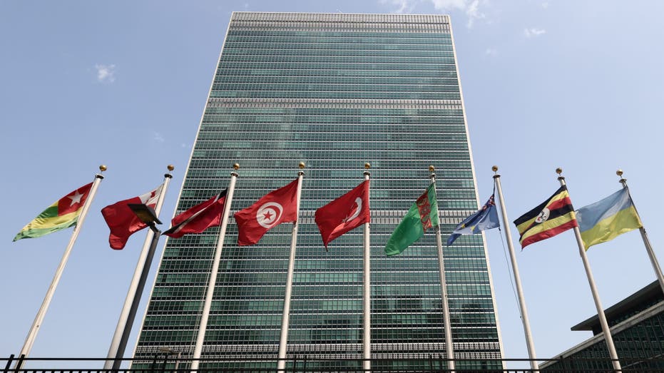 Former high-level United Nations officials to launch ‘DOGE-UN’ to highlight agency inefficiencies Former high-level United Nations officials to launch ‘DOGE-UN’ to highlight agency inefficiencies
