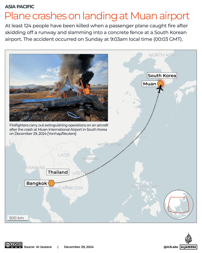 At least 120 killed in S Korea as plane crashes on landing at Muan airport