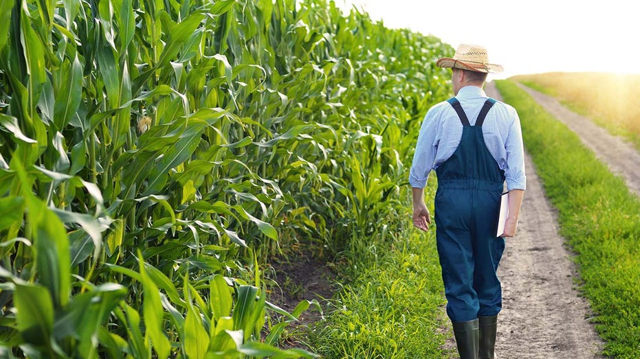 US agriculture primed to be next frontier in cybersecurity in new year, experts, lawmakers say US agriculture primed to be next frontier in cybersecurity in new year, experts, lawmakers say