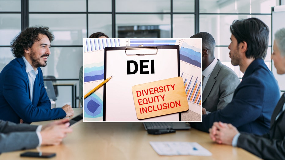 Nearly all Fortune 500 companies still maintain corporate DEI commitments: report Nearly all Fortune 500 companies still maintain corporate DEI commitments: report