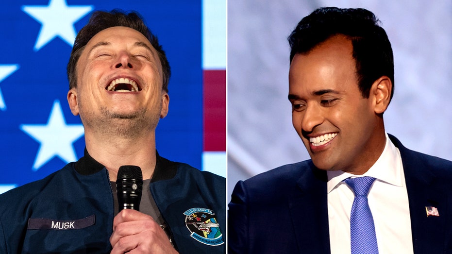 Elon Musk and Vivek Ramaswamy agree on ‘need to scrutinize’ US funding for NGOs Elon Musk and Vivek Ramaswamy agree on ‘need to scrutinize’ US funding for NGOs