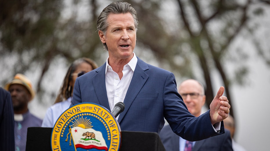 Democrat governors spotlight they’re the ‘last line of defense’ against Trump Democrat governors spotlight they’re the ‘last line of defense’ against Trump