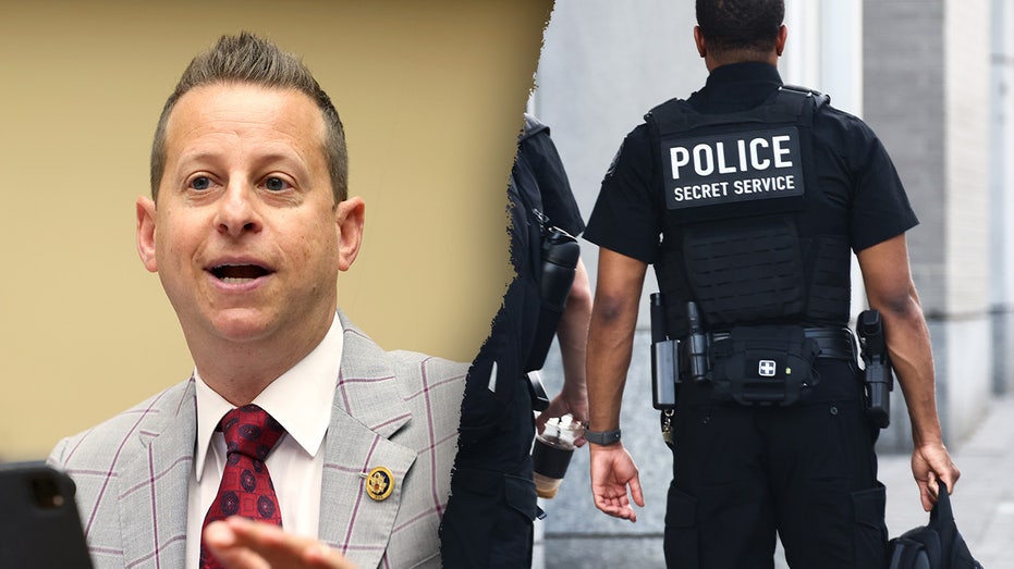 Dem lawmaker joins Republican-led DOGE Caucus with push to remove Secret Service from DHS Dem lawmaker joins Republican-led DOGE Caucus with push to remove Secret Service from DHS