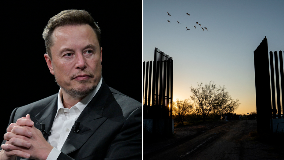 DOGE chief Musk bashes massive government spending on illegal immigrants: ‘Boggles the mind!’ DOGE chief Musk bashes massive government spending on illegal immigrants: ‘Boggles the mind!’