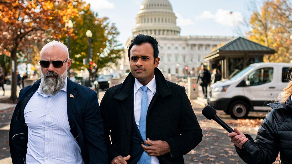 GOP senators ‘very impressed’ with Musk, Ramaswamy DOGE framework amid meetings on Capitol Hill