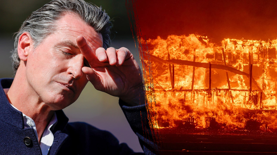 Gov. Newsom cut fire budget by 0M months before lethal California fires Gov. Newsom cut fire budget by 0M months before lethal California fires