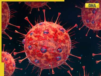 Third HMPV virus case reported in India, two-year-old child infected in Gujarat after 2 cases in Bengaluru Third HMPV virus case reported in India, two-year-old child infected in Gujarat after 2 cases in Bengaluru